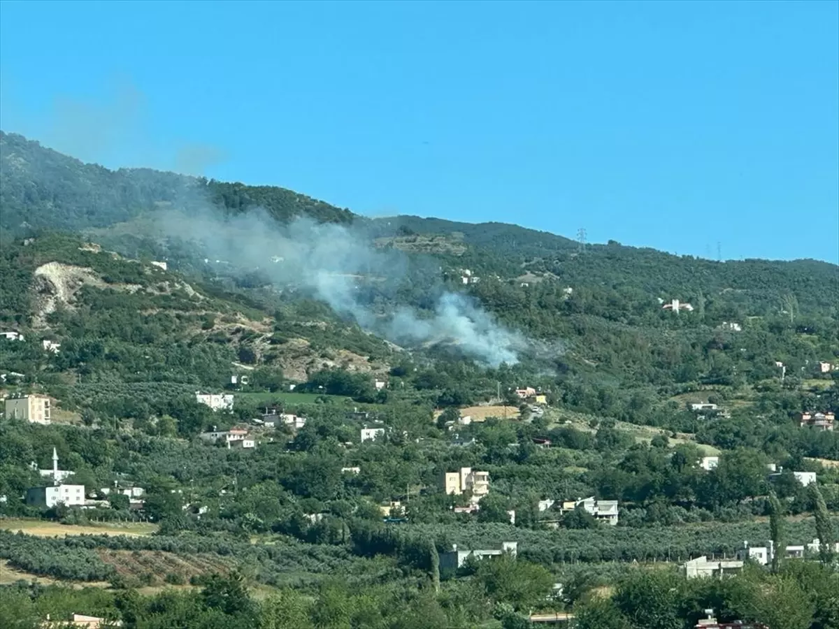 Düziçi ilçesinde çıkan orman yangını müdahaleyle söndürülmeye çalışılıyor