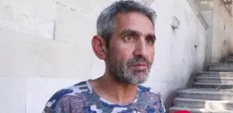 Eyüpsultan'da Asit İle Yakılan Kediler İçin Adalet İstiyoruz