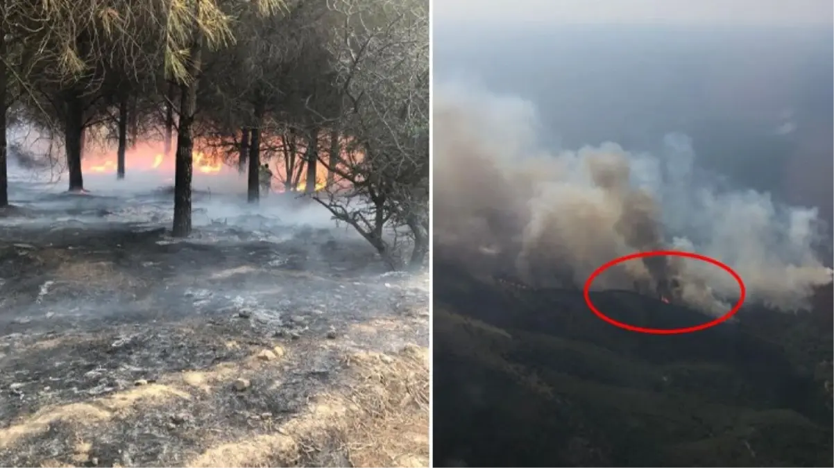 Gökçeada\'daki orman yangını kontrol altına alındı