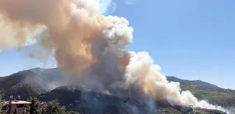Hatay Belen'de orman yangını çıktı