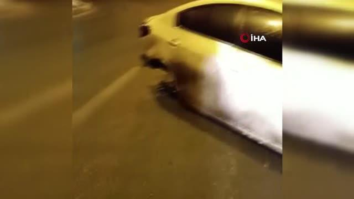 Kontrolden çıkan araç kaza yaptı, sürücünün burnu bile kanamadı