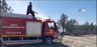 Konya'da Erozyon Önleme Sahası'nda orman yangını
