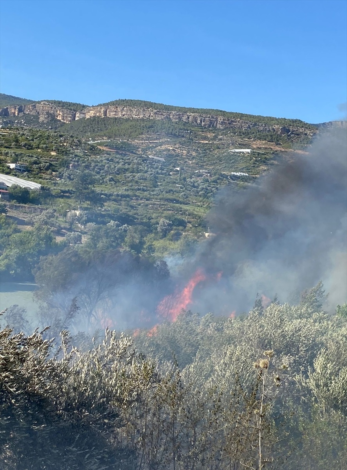 Silifke\'deki Orman Yangını Kontrol Altına Alındı