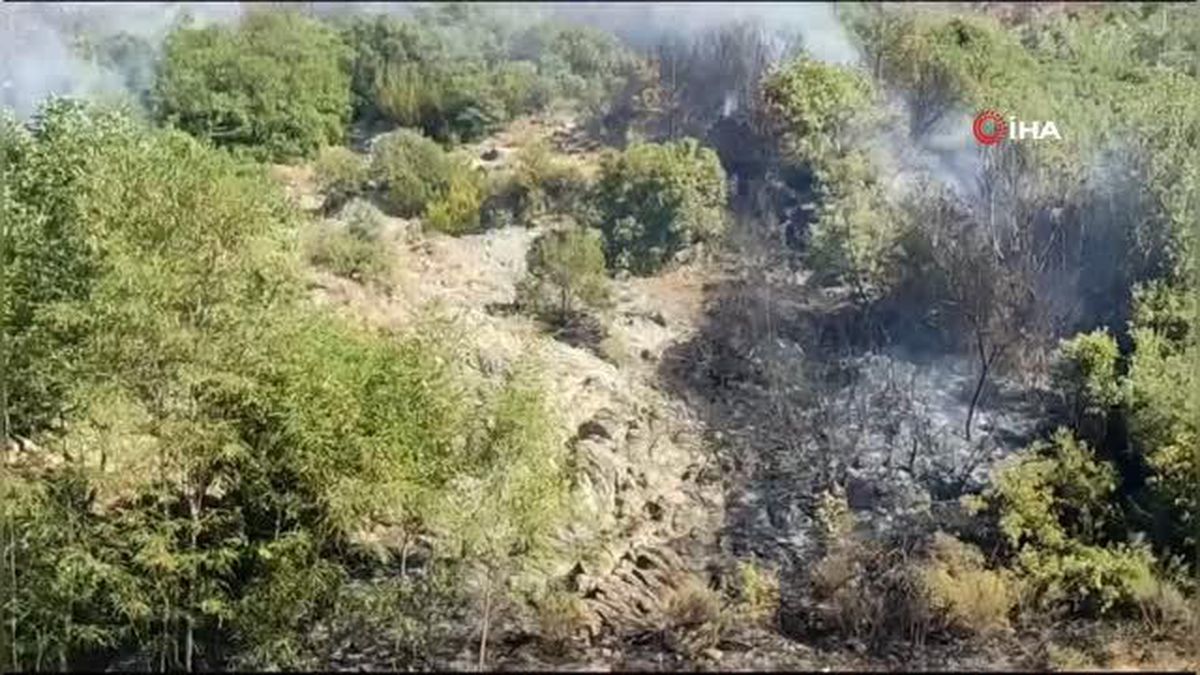 Osmaniye\'deki orman yangını kontrol altına alındı