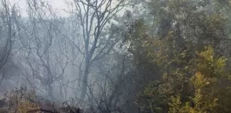 Sumbas'ta çıkan orman yangını 24 saatte söndürüldü