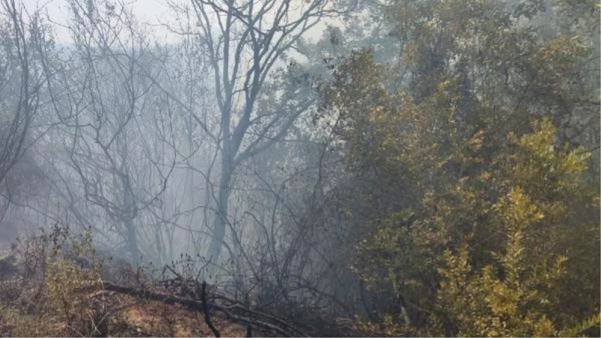 Sumbas\'ta çıkan orman yangını 24 saatte söndürüldü