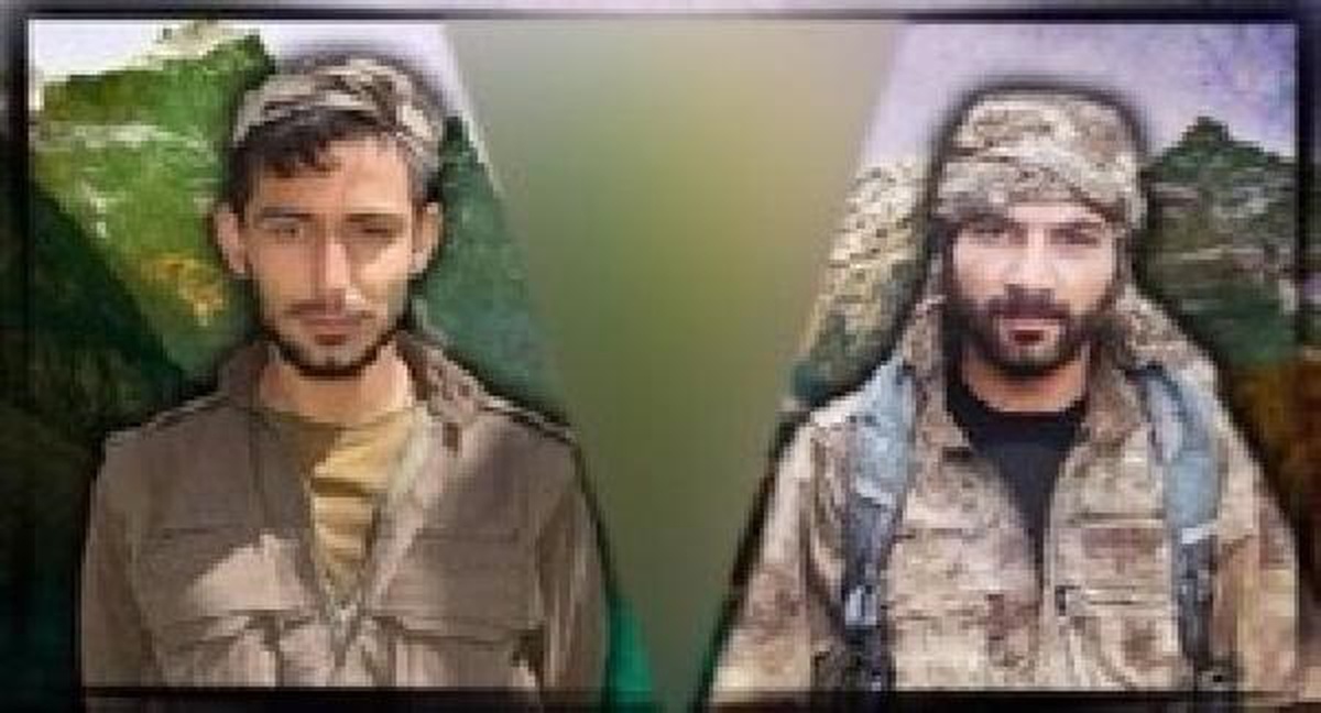 TSK, PKK\'nın Avaşin eyalet yönetimi üyesini etkisiz hale getirdi