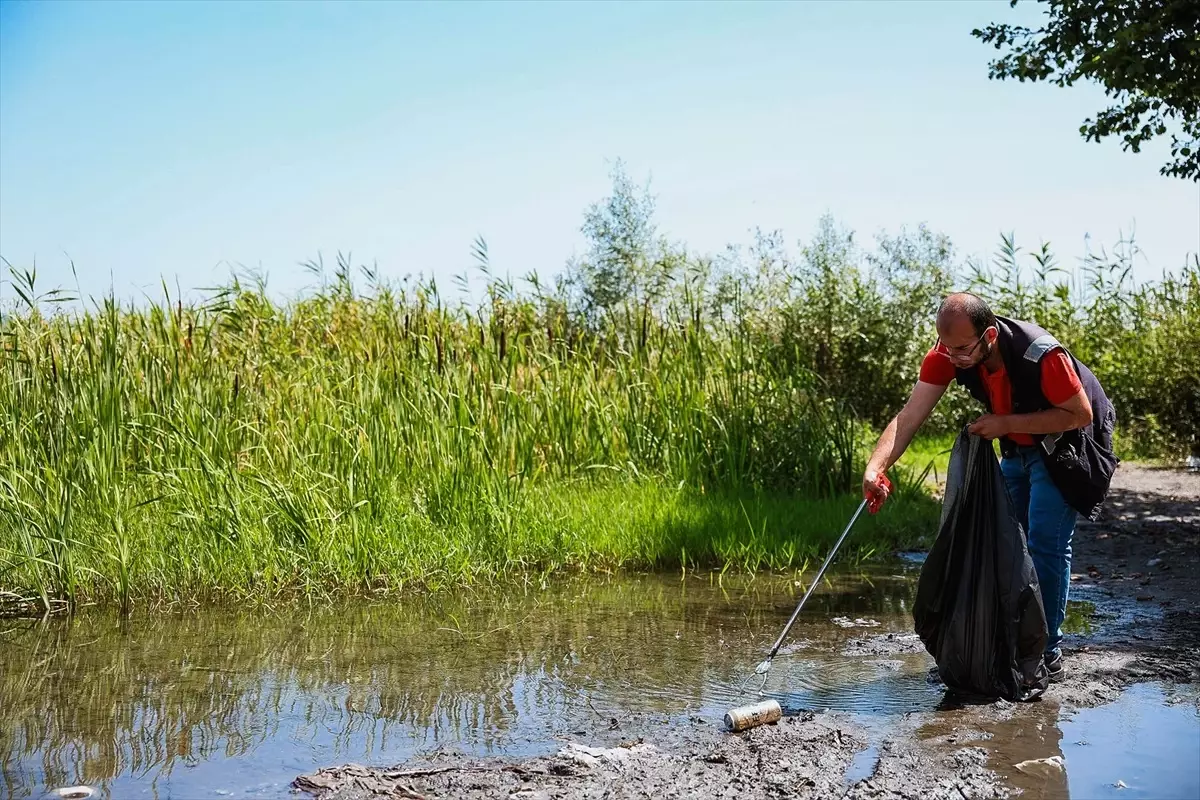 Sapanca Gölü ve dere yataklarında temizlik çalışması yapıldı