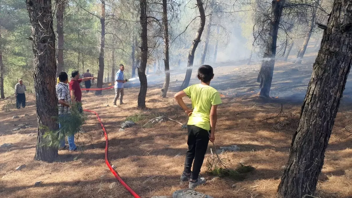Kahramanmaraş Türkoğlu\'nda Orman Yangını Söndürüldü