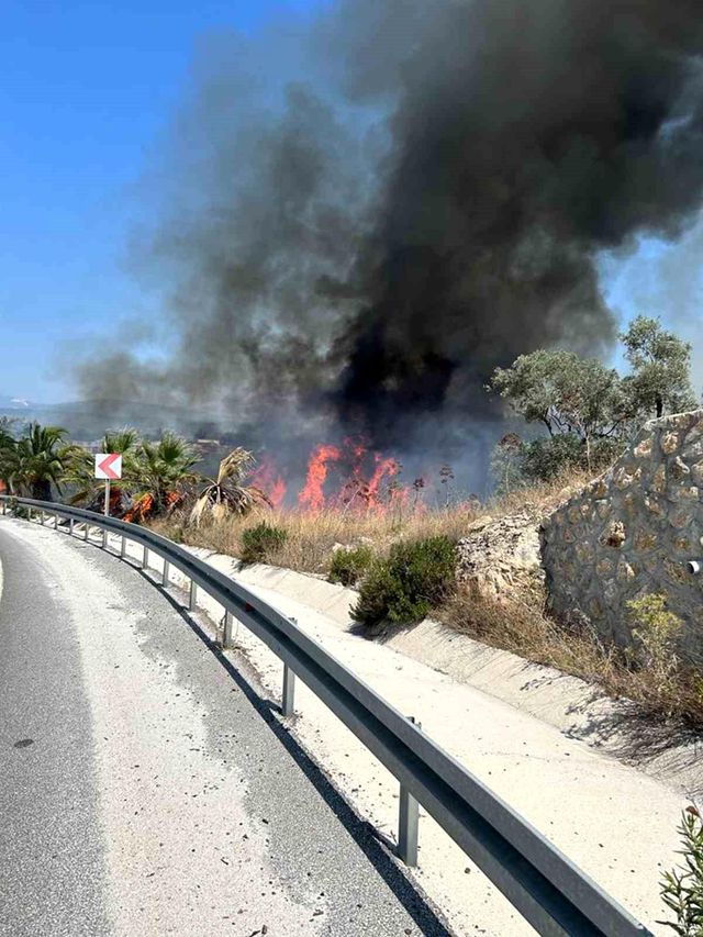 Milas-Bodrum karayolu Havalimanı kavşağında çıkan orman yangınının faili yakalandı Milas-Bodrum karayolu Havalimanı kavşağında çıkan orman yangınının faili yakalandı