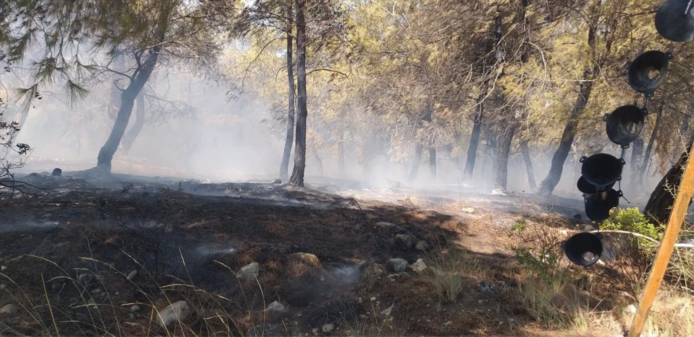 Adana\'da orman yangını çıktı