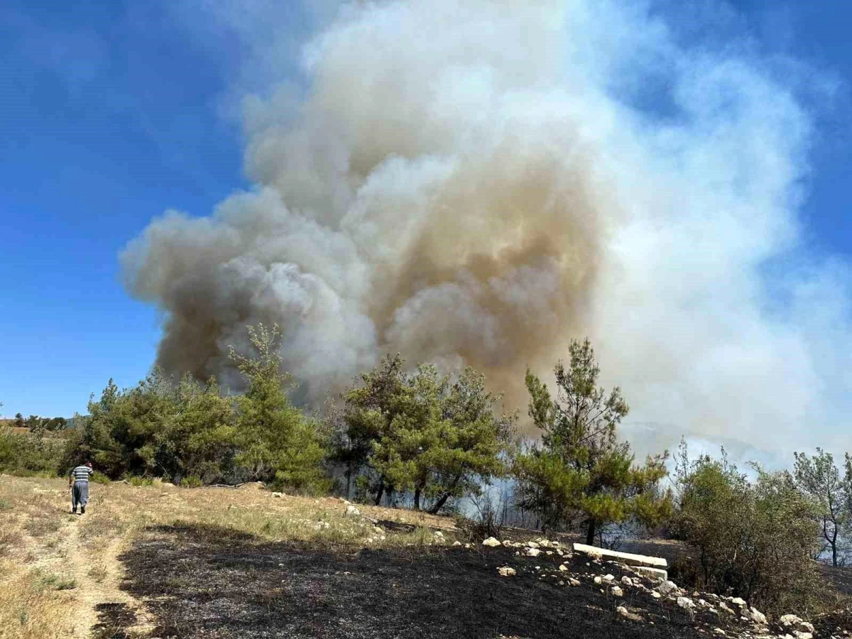 Adana\'nın Karaisalı ilçesinde ormanlık alanda çıkan yangına müdahale ediliyor