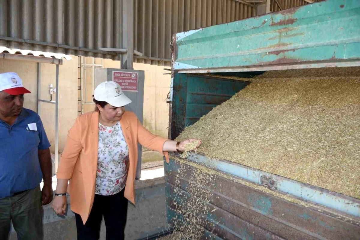 AK Parti Kırşehir İl Başkanı, TMO Genel Müdürü ile çiftçinin sorunlarını görüştü