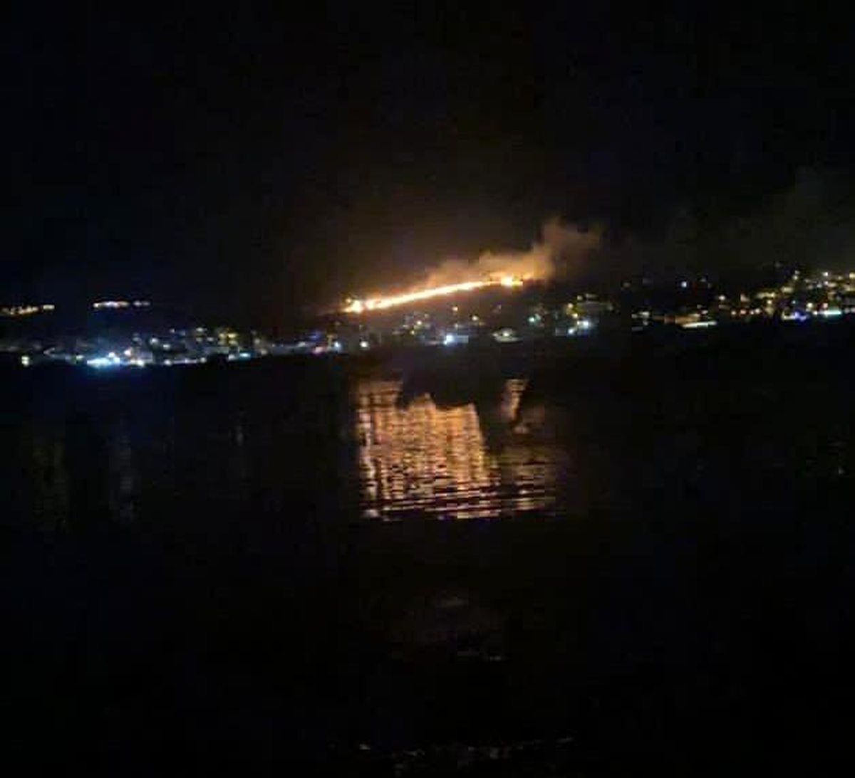 Ayvalık\'ta çıkan yangın kontrol altına alındı