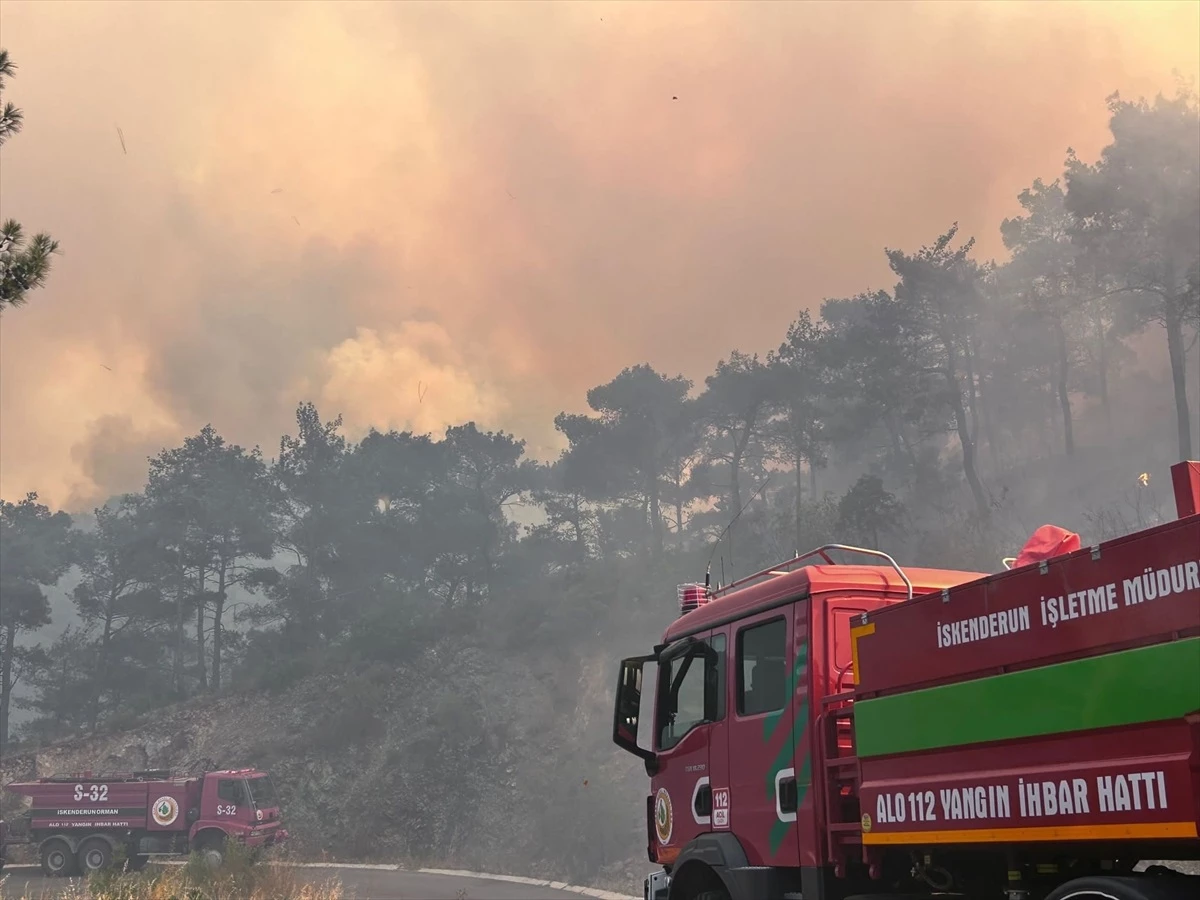 Tarım ve Orman Bakanı: Gülnar\'daki Orman Yangını Kontrol Altına Alındı
