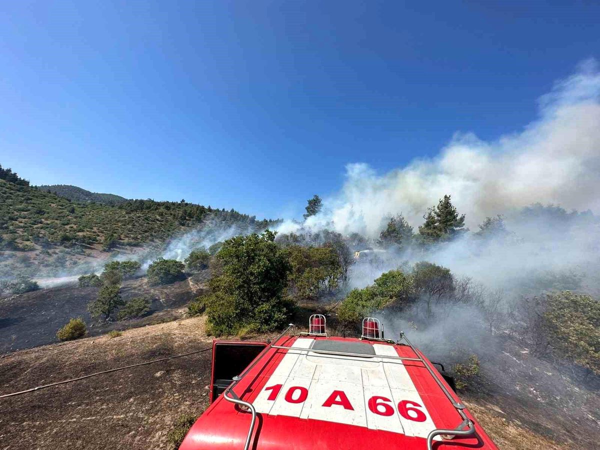 Balıkesir\'de Orman Yangını: Sındırgı ile Simav arasında yangın çıktı