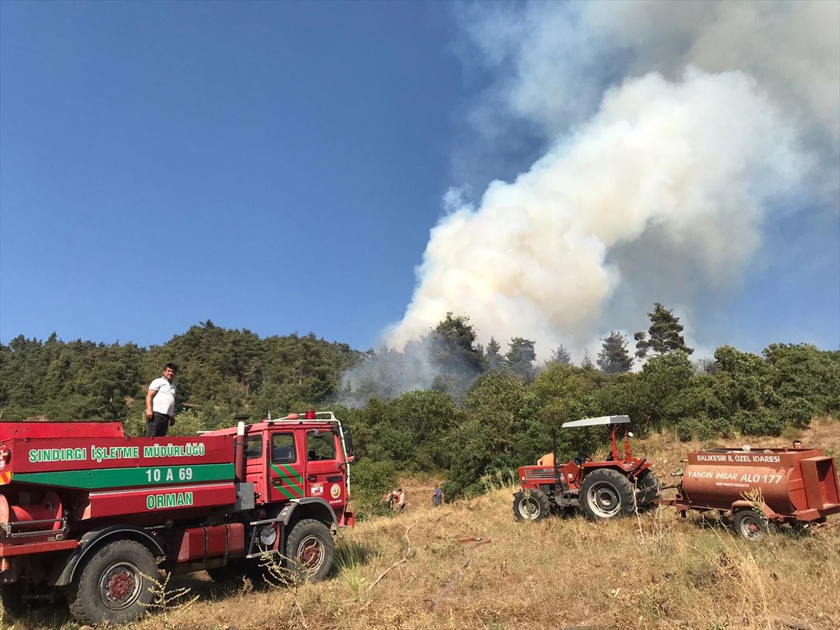 Balıkesir\'in Sındırgı ilçesinde orman yangınına müdahale