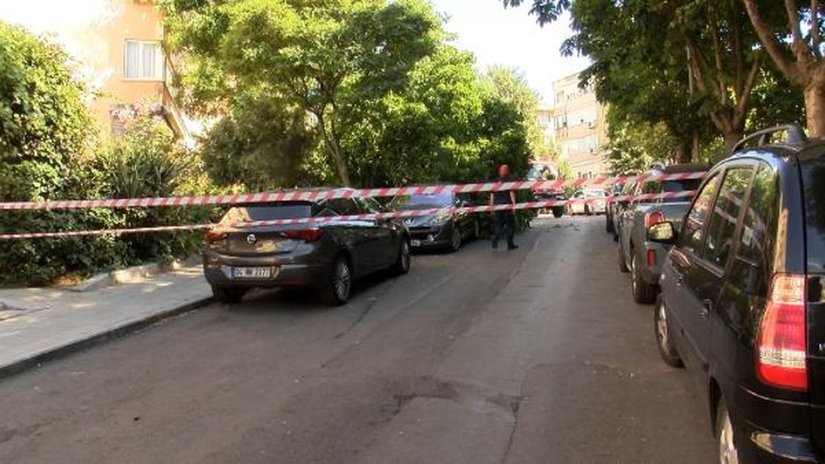 Beşiktaş\'ta Park Halindeki Otomobilin Üzerine Ağaç Düştü