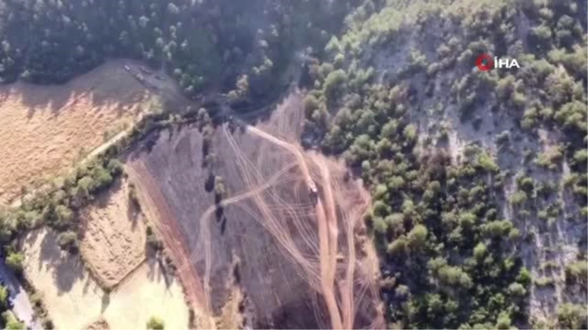 Bolu\'da çıkan orman yangınında 5 hektarlık alan küle döndü