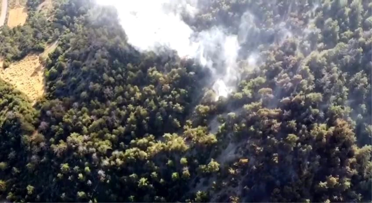 Bolu Göynük\'te Orman Yangını: 5 Hektarlık Alan Zarar Gördü