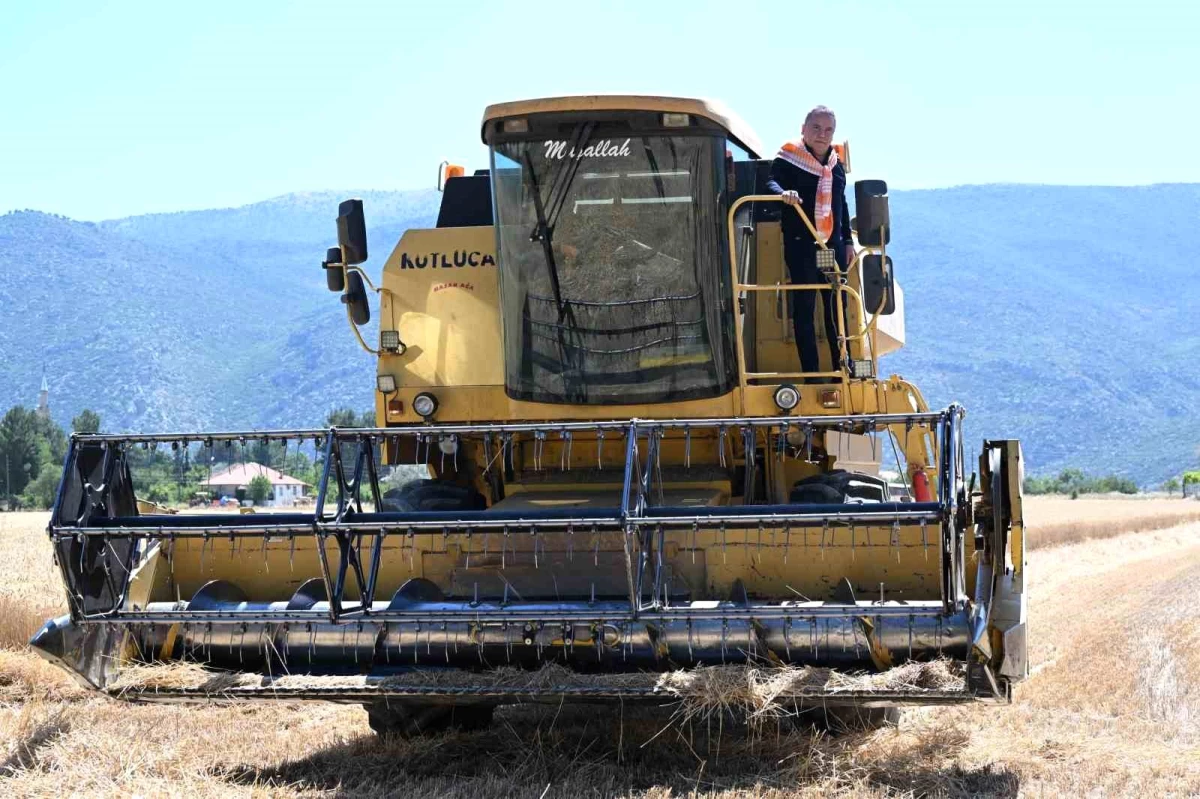 Antalya Büyükşehir Belediye Başkanı Muhittin Böcek, Korkuteli\'de tohum desteği verdiği arazilerde hasat yaptı