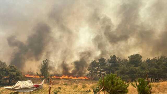 Çanakkale'de rüzgarın etkisiyle yayılan orman yangını kontrol altına alınmaya çalışılıyor
