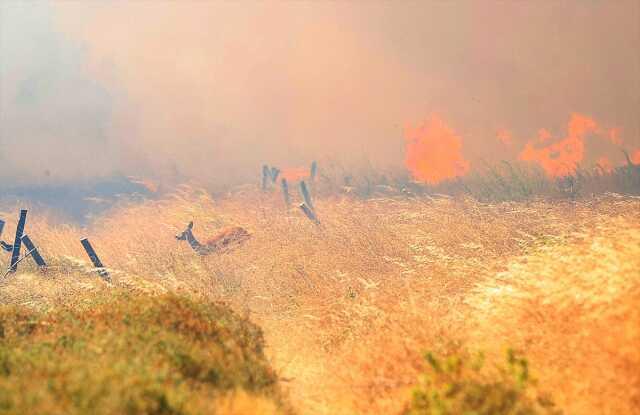 Çanakkale'de rüzgarın etkisiyle yayılan orman yangını kontrol altına alınmaya çalışılıyor