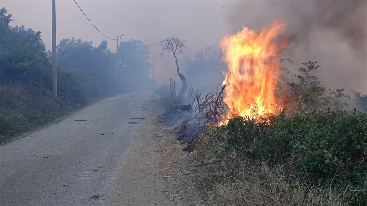 Çanakkale\'de 17 Saattir Süren Orman Yangını Kontrol Altına Alınmaya Çalışılıyor