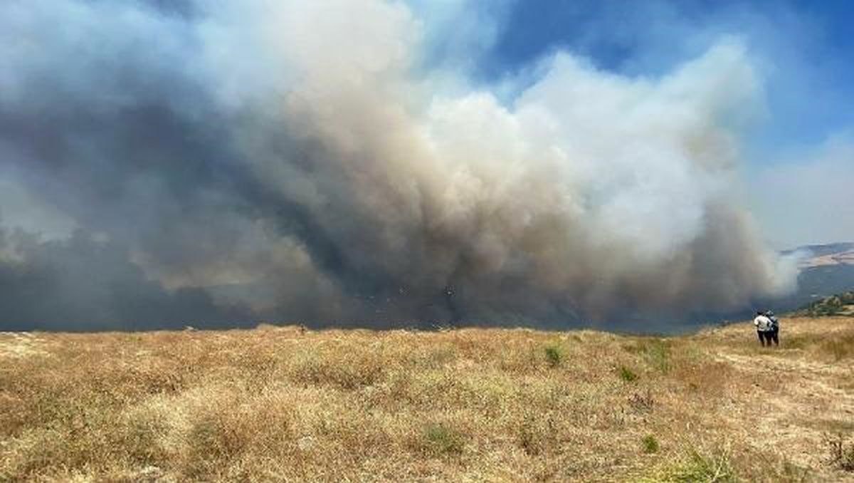 Çanakkale\'deki orman yangınına müdahale sürüyor (2)