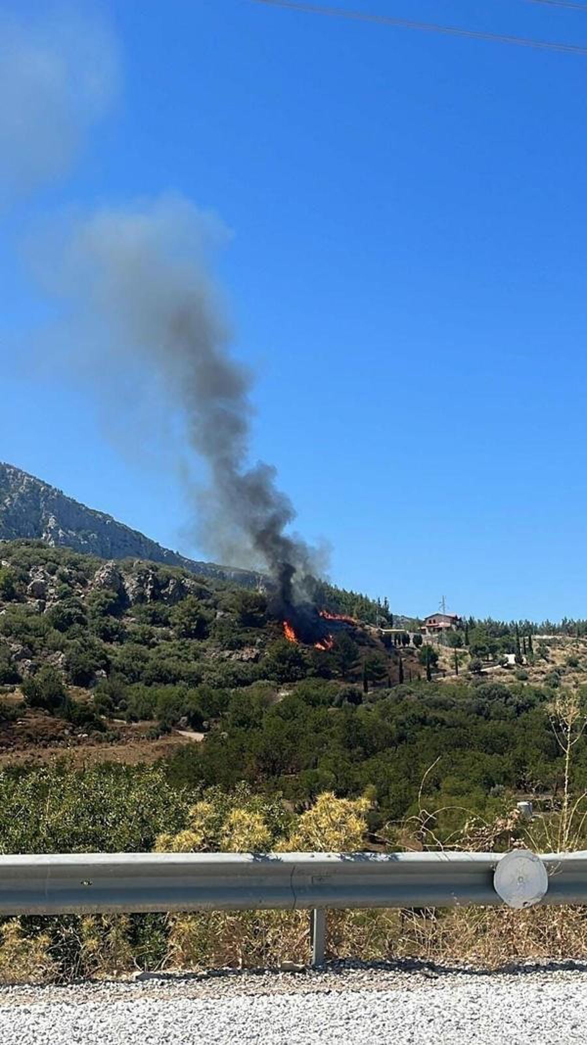 Muğla\'da restoranda çıkan yangın ormana sıçradı