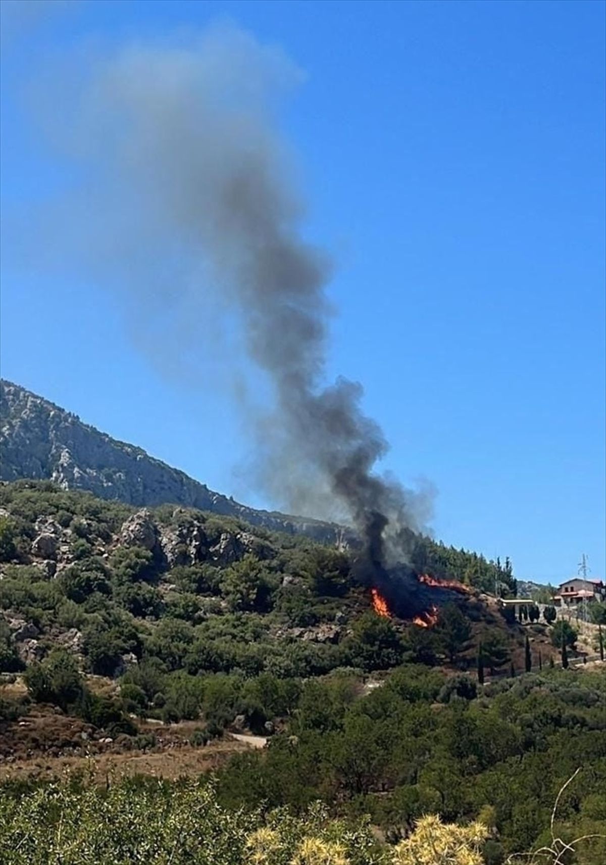Muğla\'nın Datça ilçesinde restoranda çıkan yangın kontrol altına alınmaya çalışılıyor