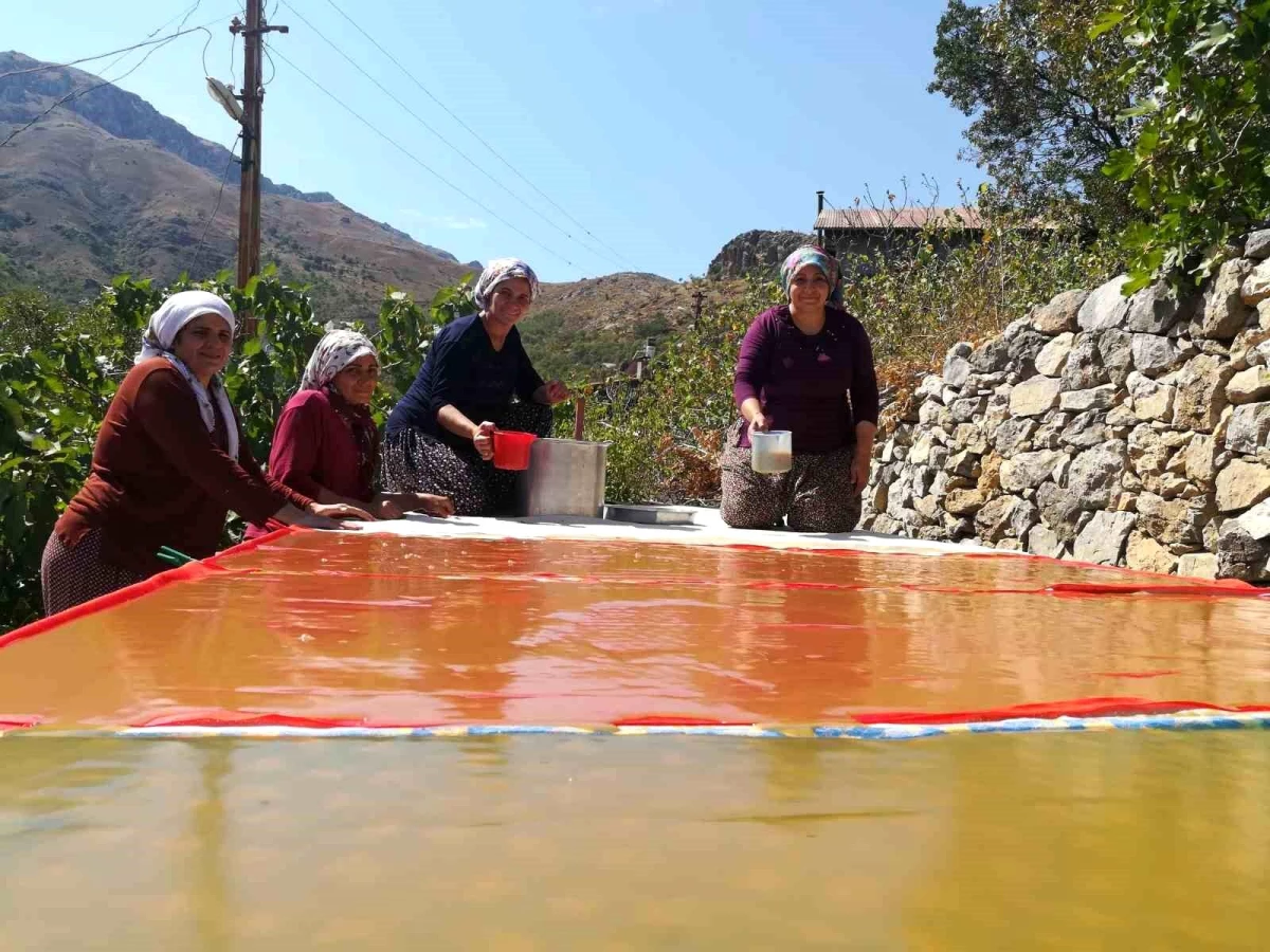 Erzincan\'ın Kemaliye ilçesinde kadınlar imece usulü pestil ve pekmez yapıyor