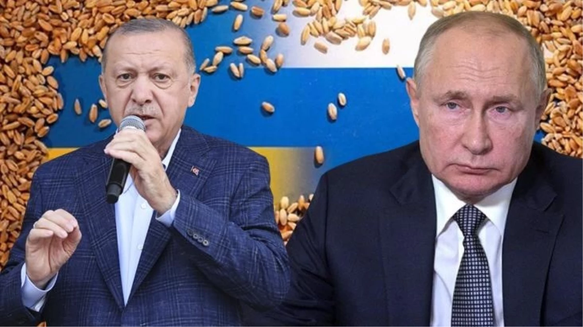 Erdoğan, Rusya\'nın tahıl koridoru anlaşmasını bitirmesini değerlendirdi: Putin\'in devamını istediğine inanıyorum