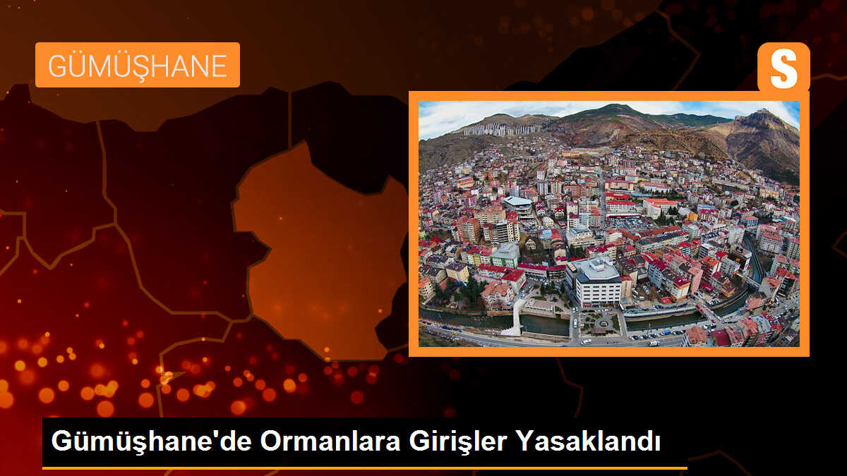 Gümüşhane\'de Ormanlara Girişler Yasaklandı