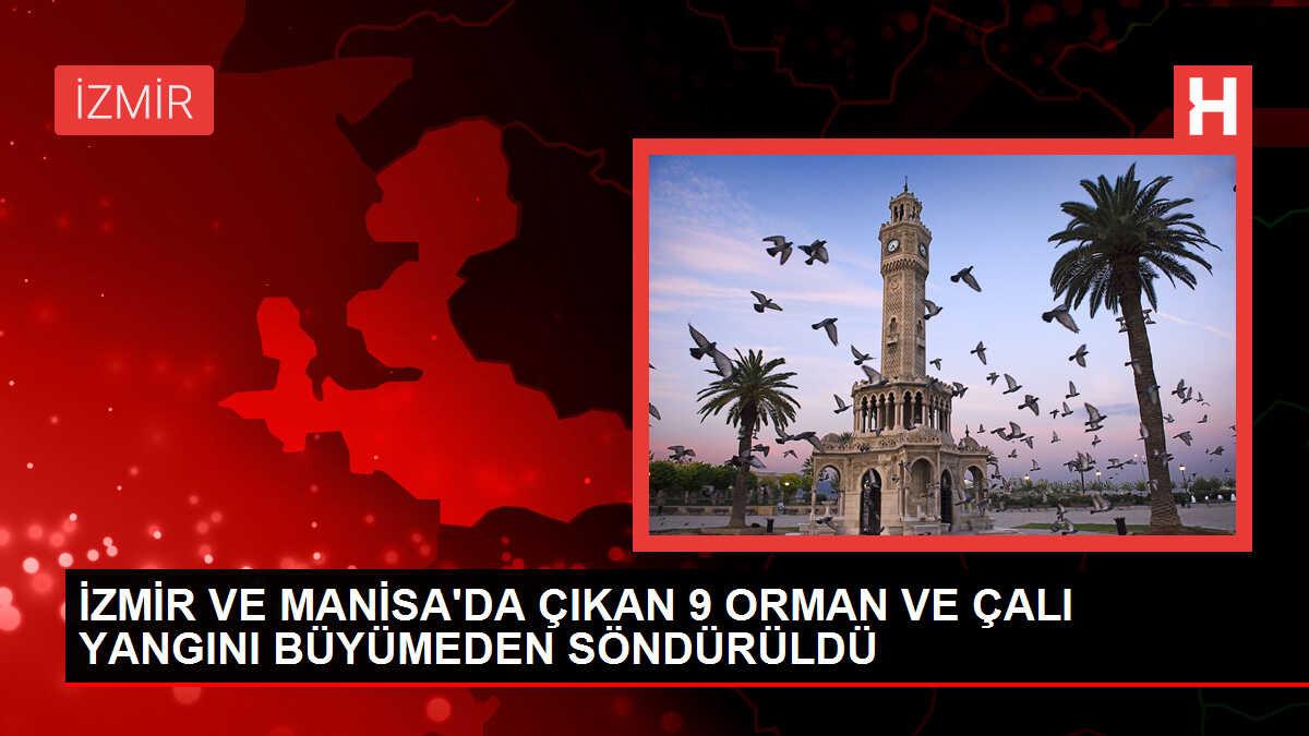 İzmir ve Manisa'da 9 orman yangını büyümeden söndürüldü