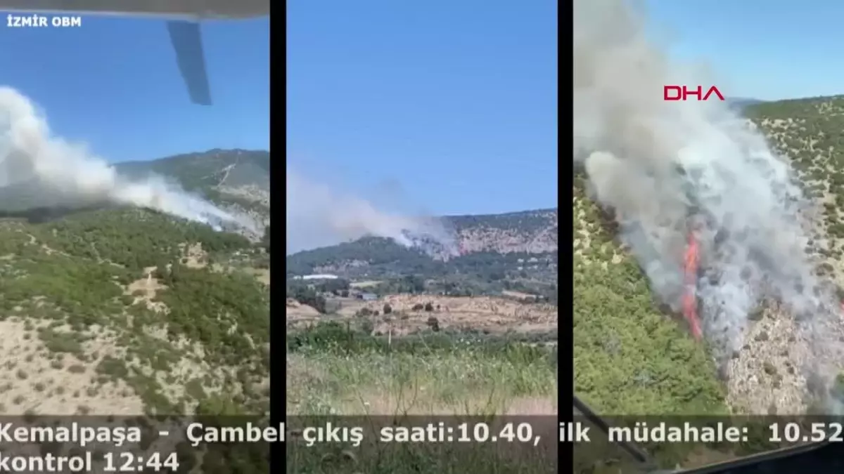 İzmir ve Manisa\'da 9 orman yangını büyümeden söndürüldü
