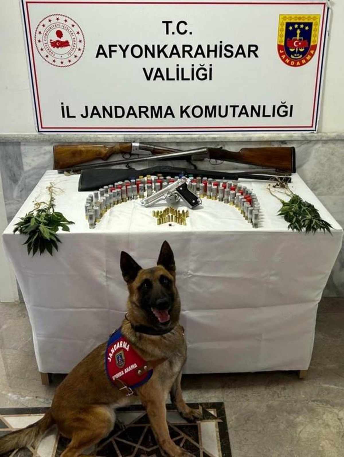 Afyonkarahisar\'da Kenevir ve Sentetik Ecza Hapı Operasyonu