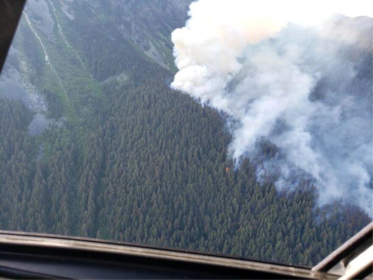 Kanada\'da Orman Yangınları Sonucunda 10 Milyon Hektar Alan Küle Döndü
