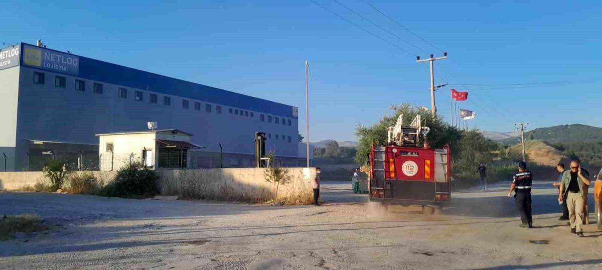 Muğla\'da lojistik firmasına ait depoda yangın çıktı