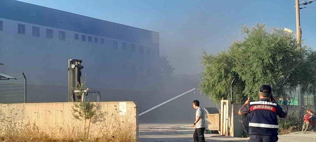 Muğla\'da Lojistik Firmasına Ait Depoda Yangın Çıktı