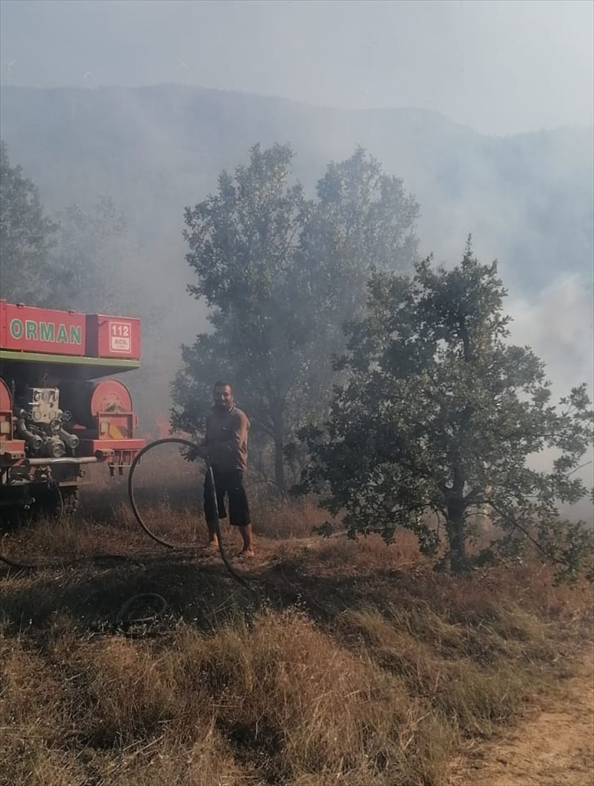 Mersin\'de çıkan yangın ormanlık alana sıçramadan söndürüldü