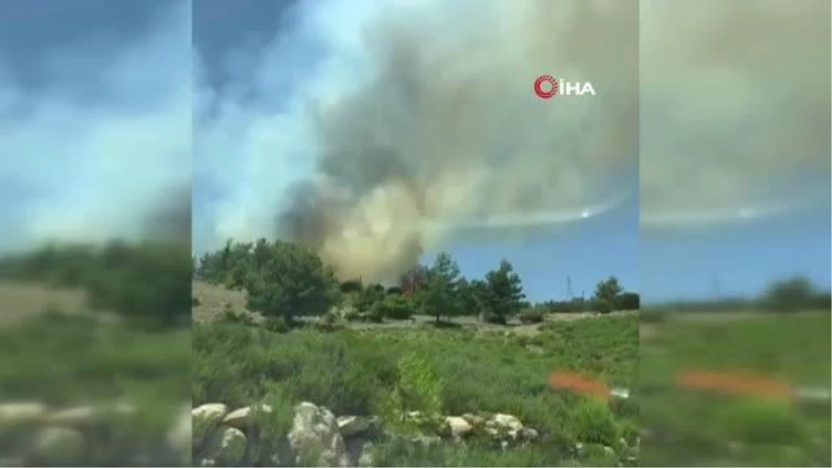 Mersin\'deki ikinci orman yangını da kontrol altına alındı