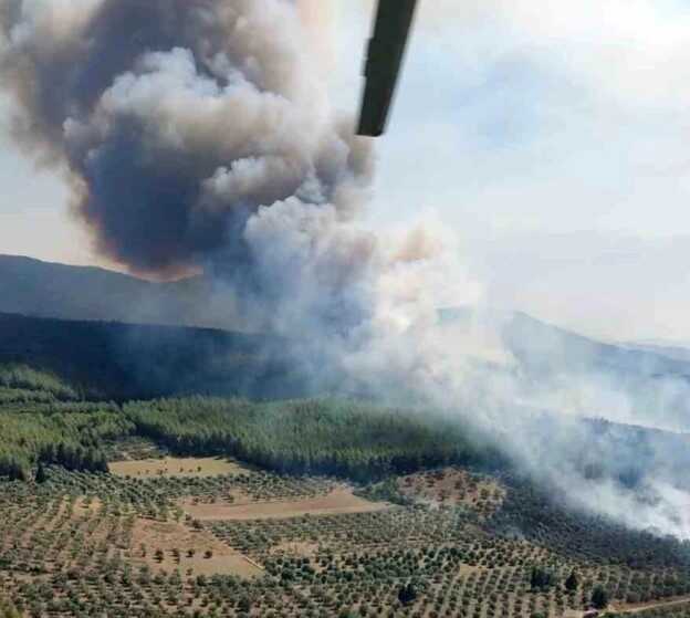 Milas-Bodrum karayolu Havalimanı kavşağında çıkan orman yangınının faili yakalandı Milas-Bodrum karayolu Havalimanı kavşağında çıkan orman yangınının faili yakalandı