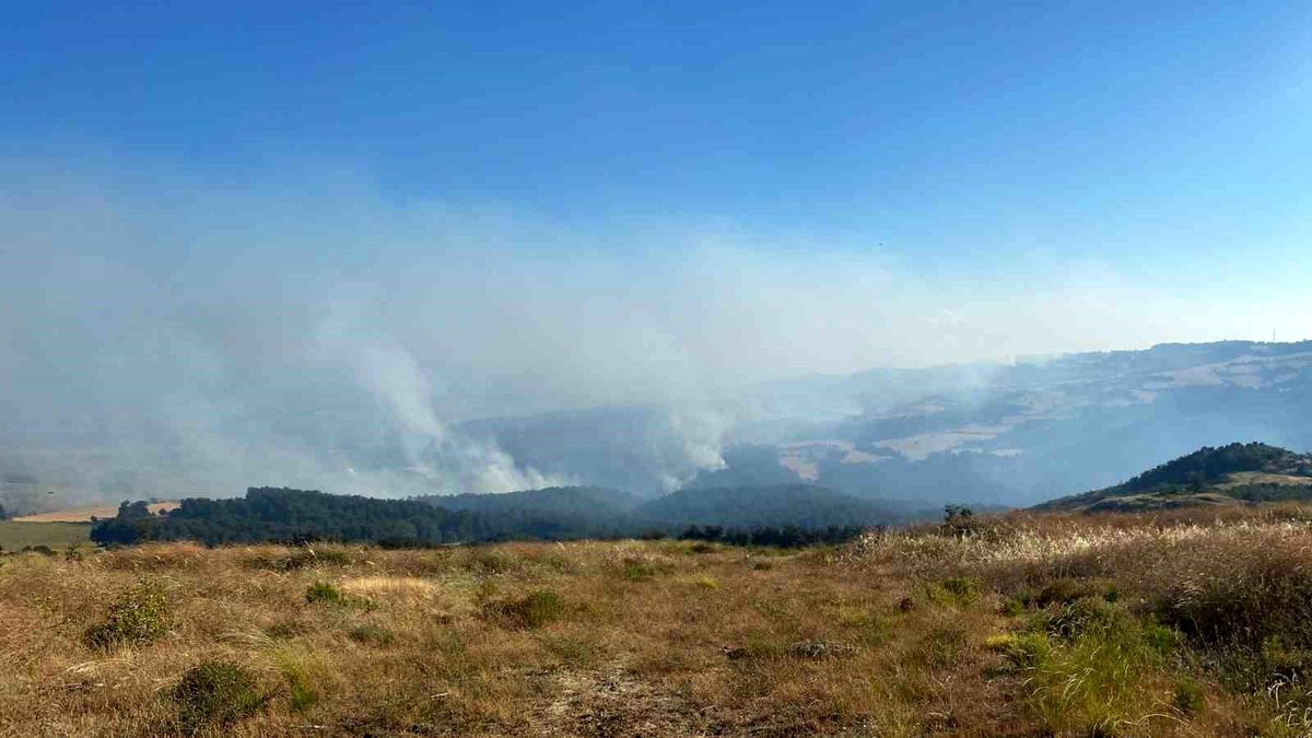 Çanakkale\'deki Orman Yangını Kontrol Altına Alınmaya Çalışılıyor