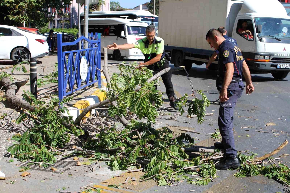 Rüzgarda kopan ağaç dalı genç bir kişinin başına düştü