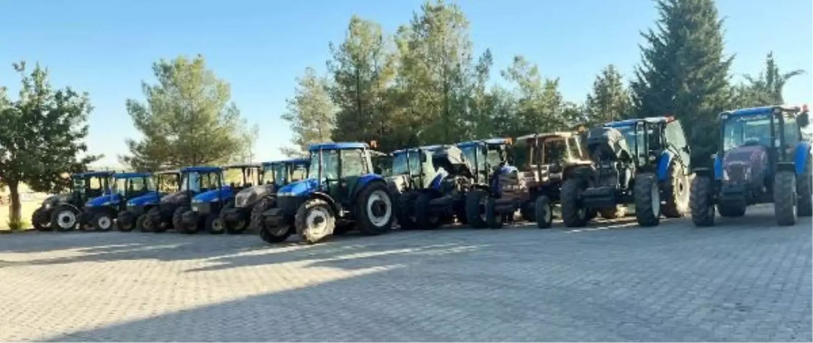 Şanlıurfa'da Elektrik Kesintilerine Karşı Çiftçilerin Eylemi