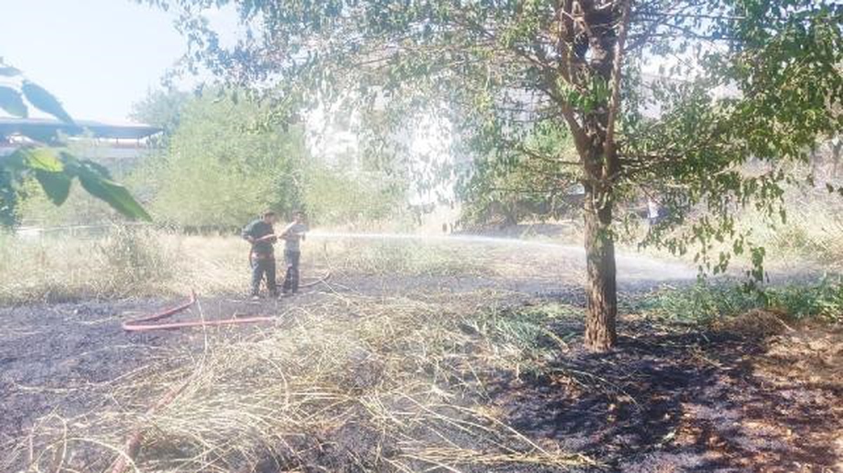 Siirt\'te mezarlıkta çıkan yangın söndürüldü