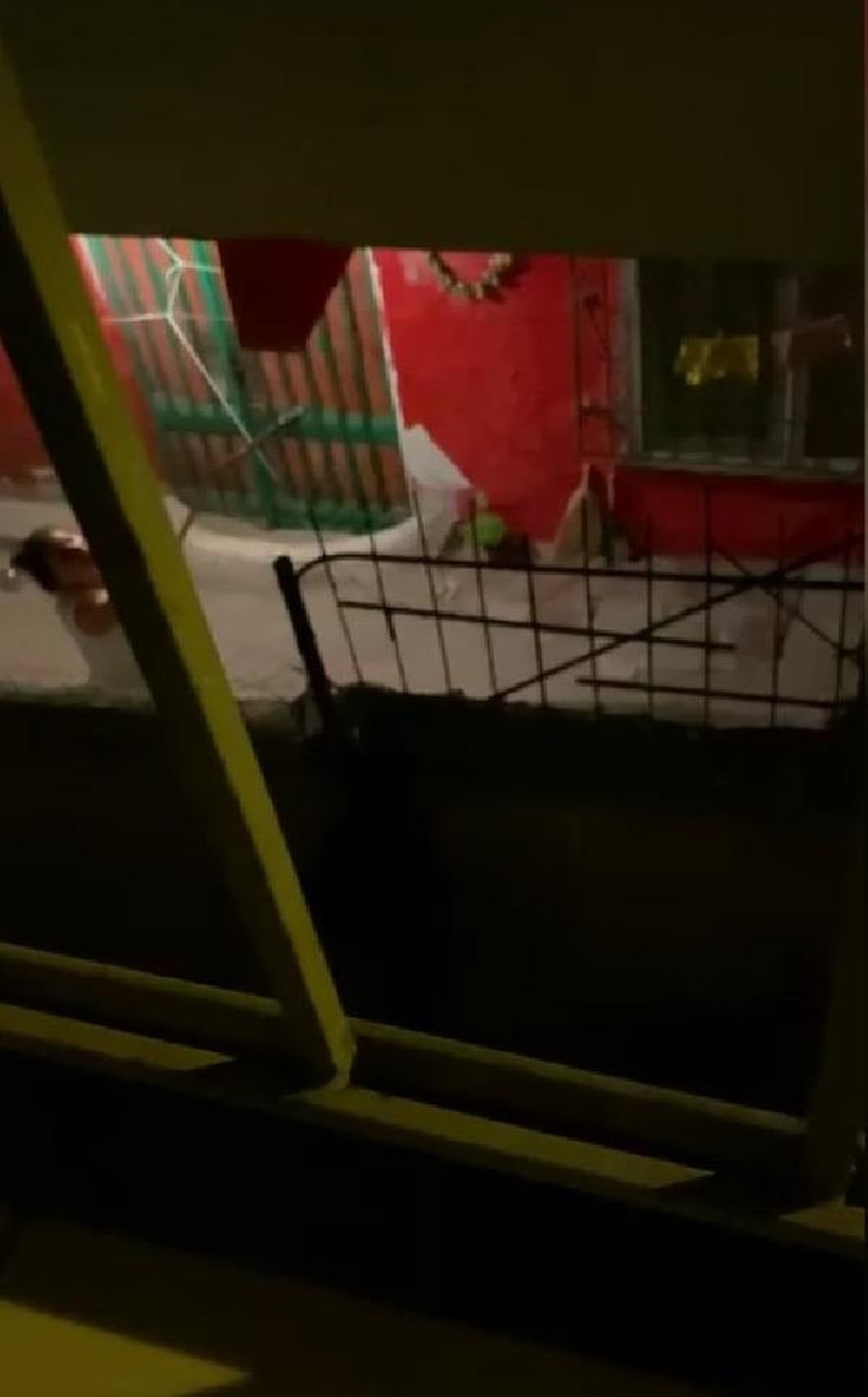 Sultangazi\'de Yavru Köpeğe Şiddet Uygulayan Şahıs Polis Tarafından Gözaltına Alındı