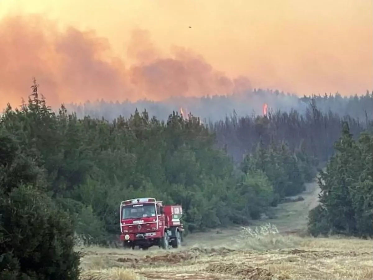 Tekirdağ\'da Orman Yangınına Müdahale Sürüyor