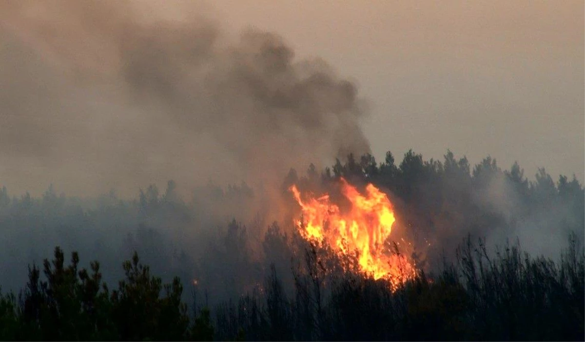 Tekirdağ\'da 300 Hektarlık Orman Yangınında Müdahale Sürüyor